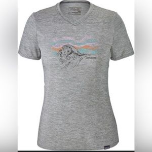 Patagonia Capilene Daily Graphic Base Layer Tee Medium